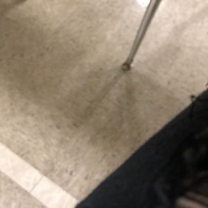 Meet your Posher, Shania